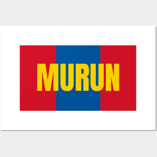 Murun City in Mongolian Flag Colors Posters and Art